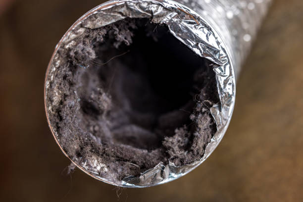 Best Local Air Duct Cleaning Services  in Pinson, AL